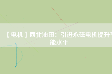 【電機】西北油田：引進(jìn)永磁電機提升節(jié)能水平
          