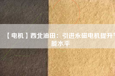 【電機】西北油田：引進(jìn)永磁電機提升節(jié)能水平
          