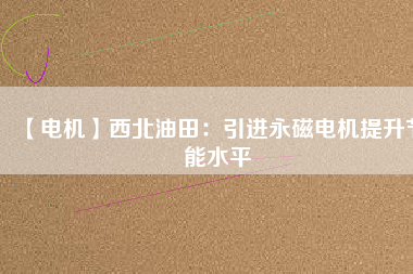 【電機】西北油田：引進(jìn)永磁電機提升節(jié)能水平
          