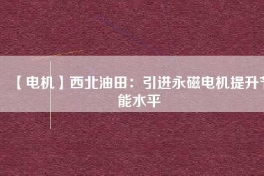 【電機】西北油田：引進(jìn)永磁電機提升節(jié)能水平
          