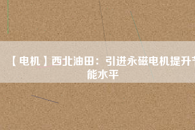 【電機】西北油田：引進(jìn)永磁電機提升節(jié)能水平
          