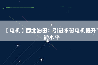 【電機】西北油田：引進(jìn)永磁電機提升節(jié)能水平
          