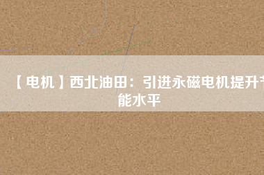 【電機】西北油田：引進(jìn)永磁電機提升節(jié)能水平
          