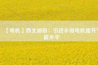 【電機】西北油田：引進(jìn)永磁電機提升節(jié)能水平
          