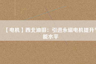 【電機】西北油田：引進(jìn)永磁電機提升節(jié)能水平
          