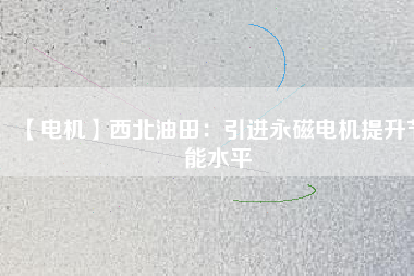 【電機】西北油田：引進(jìn)永磁電機提升節(jié)能水平
          