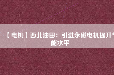 【電機】西北油田：引進(jìn)永磁電機提升節(jié)能水平
          