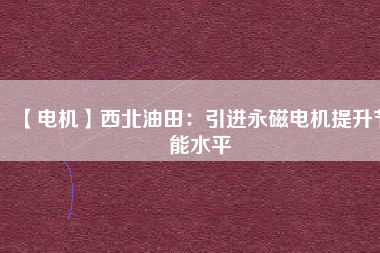 【電機】西北油田：引進(jìn)永磁電機提升節(jié)能水平
          
