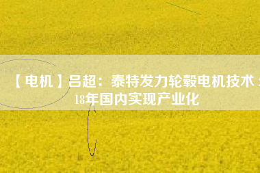 【電機(jī)】呂超：泰特發(fā)力輪轂電機(jī)技術(shù) 2018年國(guó)內(nèi)實(shí)現(xiàn)產(chǎn)業(yè)化
          
