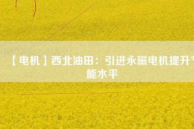 【電機】西北油田：引進(jìn)永磁電機提升節(jié)能水平
          