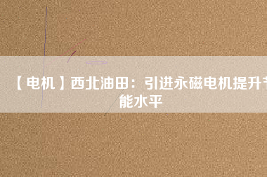 【電機】西北油田：引進(jìn)永磁電機提升節(jié)能水平
          