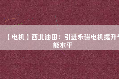 【電機】西北油田：引進(jìn)永磁電機提升節(jié)能水平
          