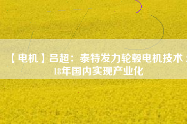 【電機(jī)】呂超：泰特發(fā)力輪轂電機(jī)技術(shù) 2018年國(guó)內(nèi)實(shí)現(xiàn)產(chǎn)業(yè)化
          