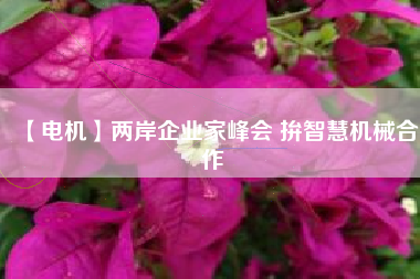 【電機(jī)】兩岸企業(yè)家峰會 拚智慧機(jī)械合作