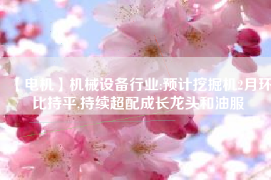 【電機(jī)】機(jī)械設(shè)備行業(yè):預(yù)計挖掘機(jī)2月環(huán)比持平,持續(xù)超配成長龍頭和油服
